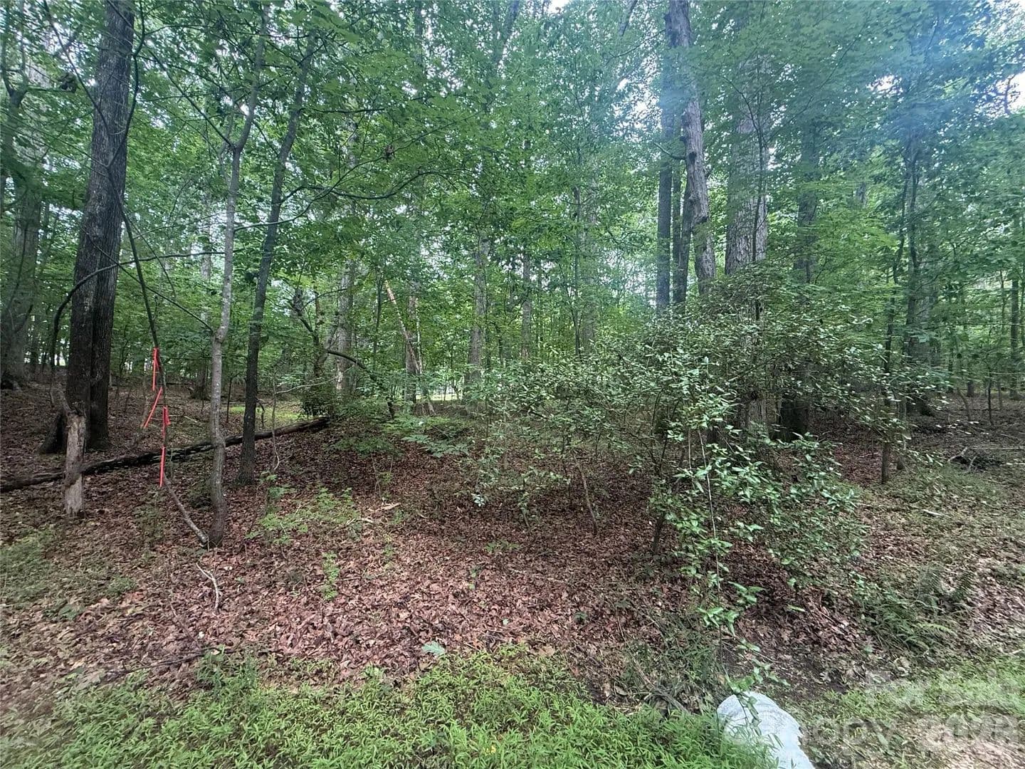 Property from 00 S Lineberry Street - KW - Troy, North Carolina, 27371