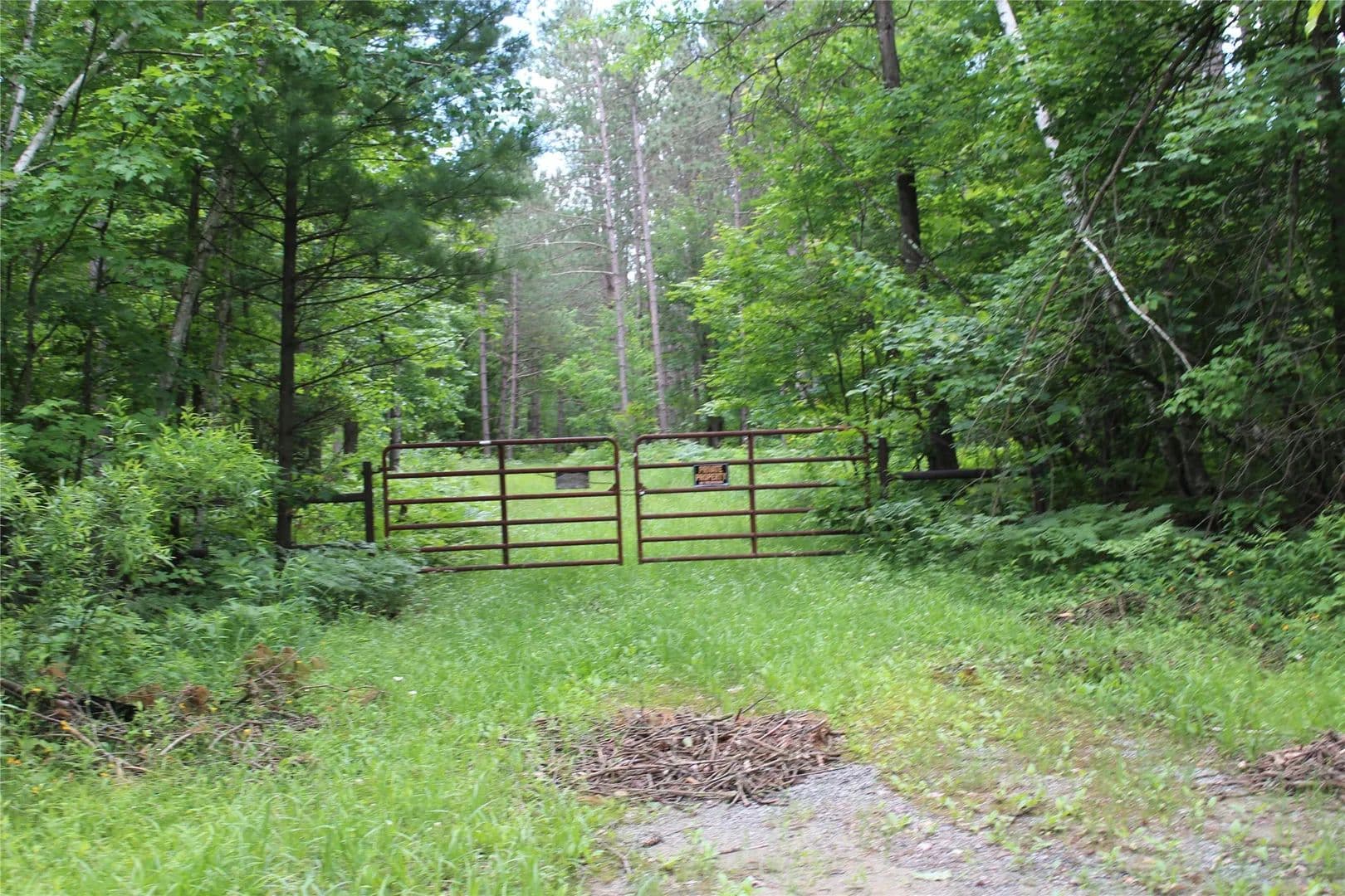 80 Acres of Land for Sale in Neillsville, WI - Neillsville, Wisconsin, 54456