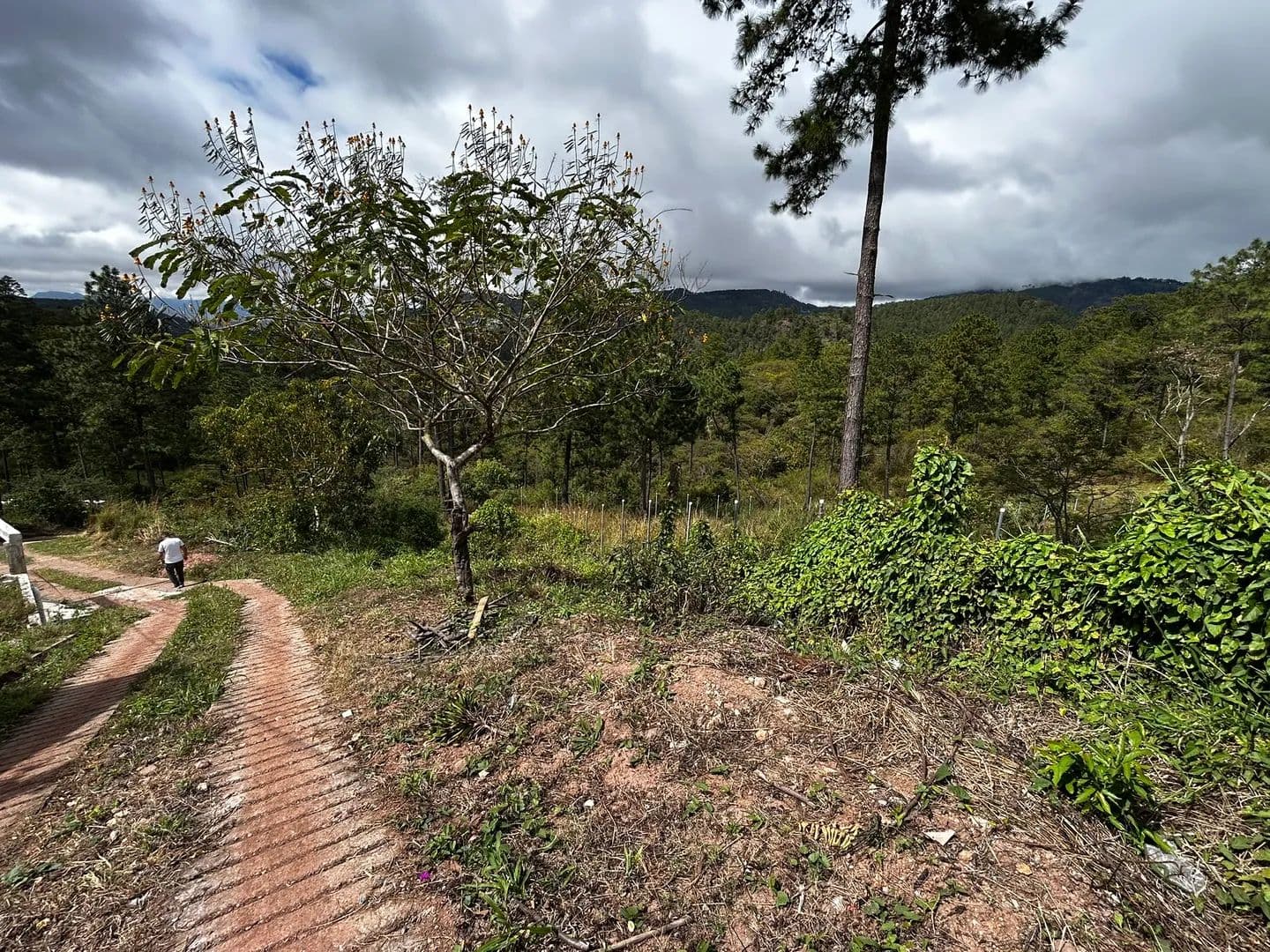 Terreno en Venta Lote #4 Los Enredos, Tatumbla - land for sale