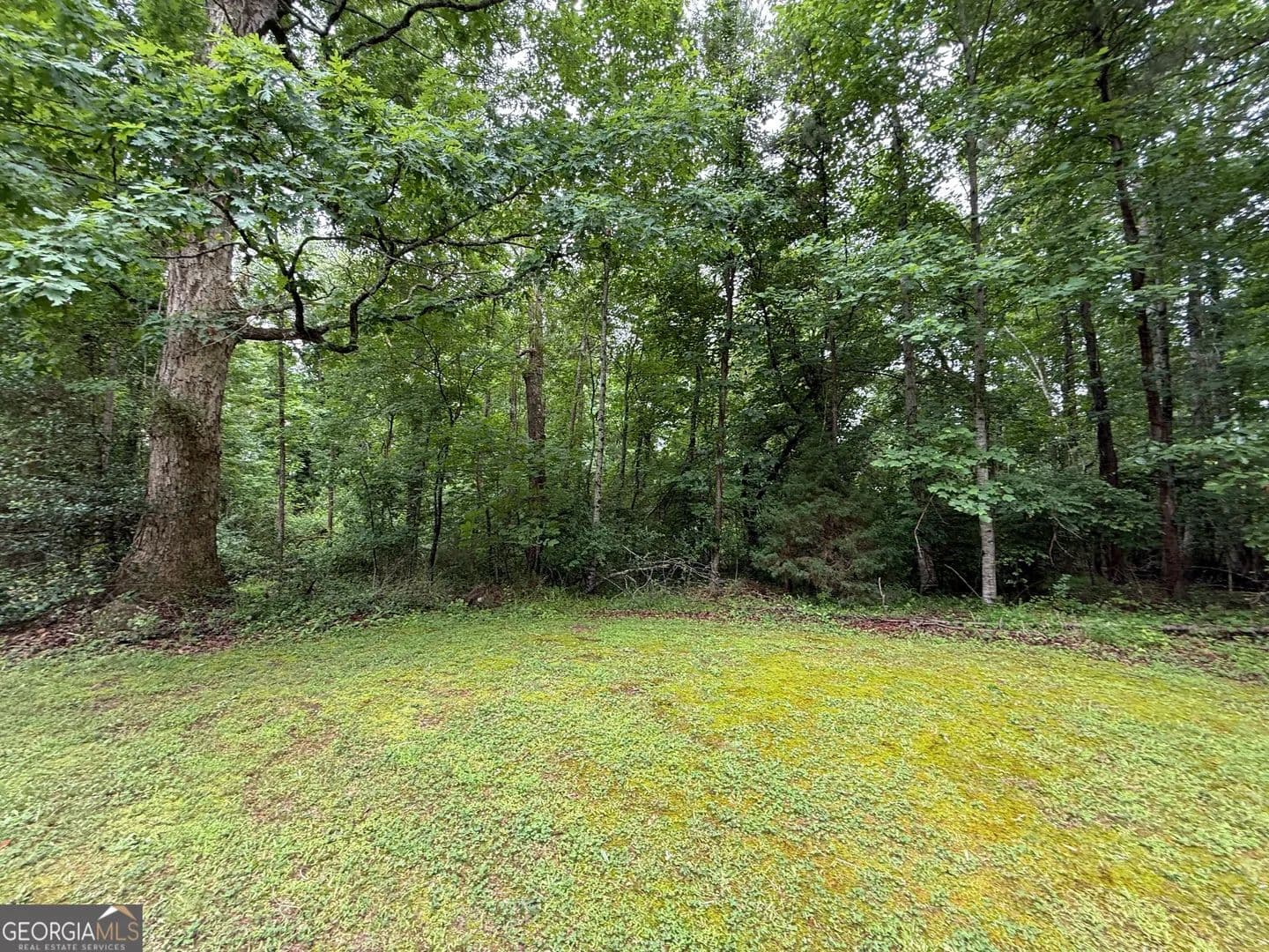 Property from LOT 34 Lakemont Trail - KW - Demorest, Georgia, 30535
