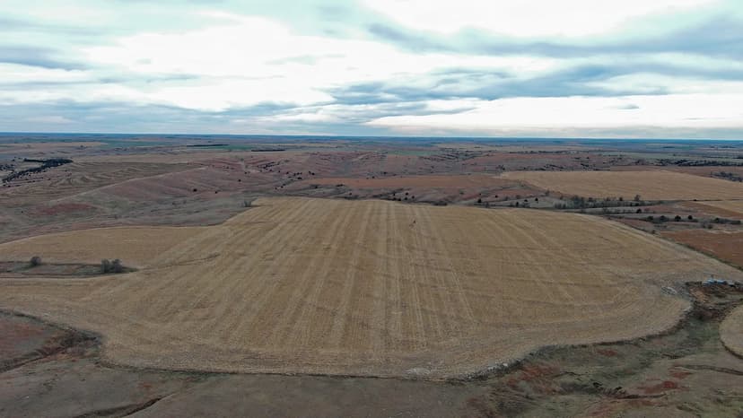 Elmo & Doyle Neiman Co. Neb. Land Auction