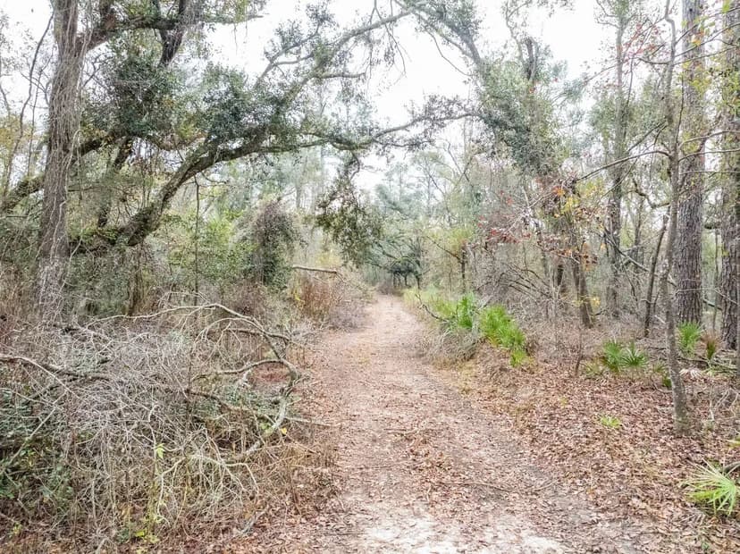 2.48 Acres FL Camp Sites