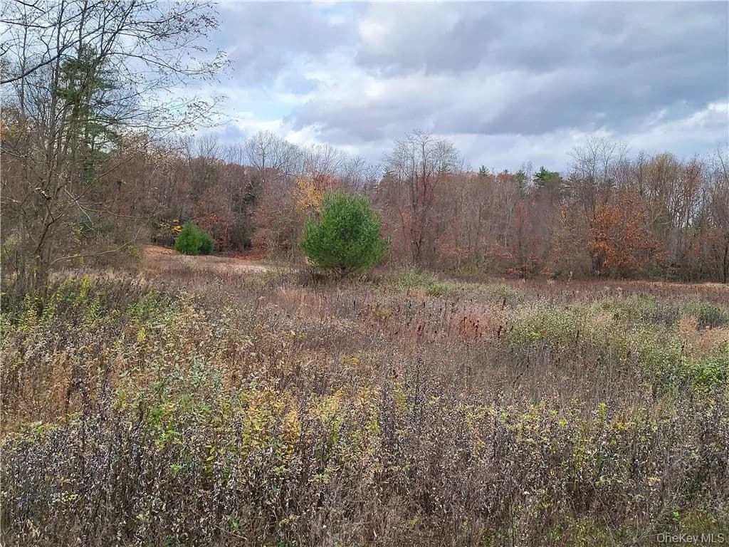 Property from Ashley Drive - Lot 5 - KW - Rosendale, New York, 12472