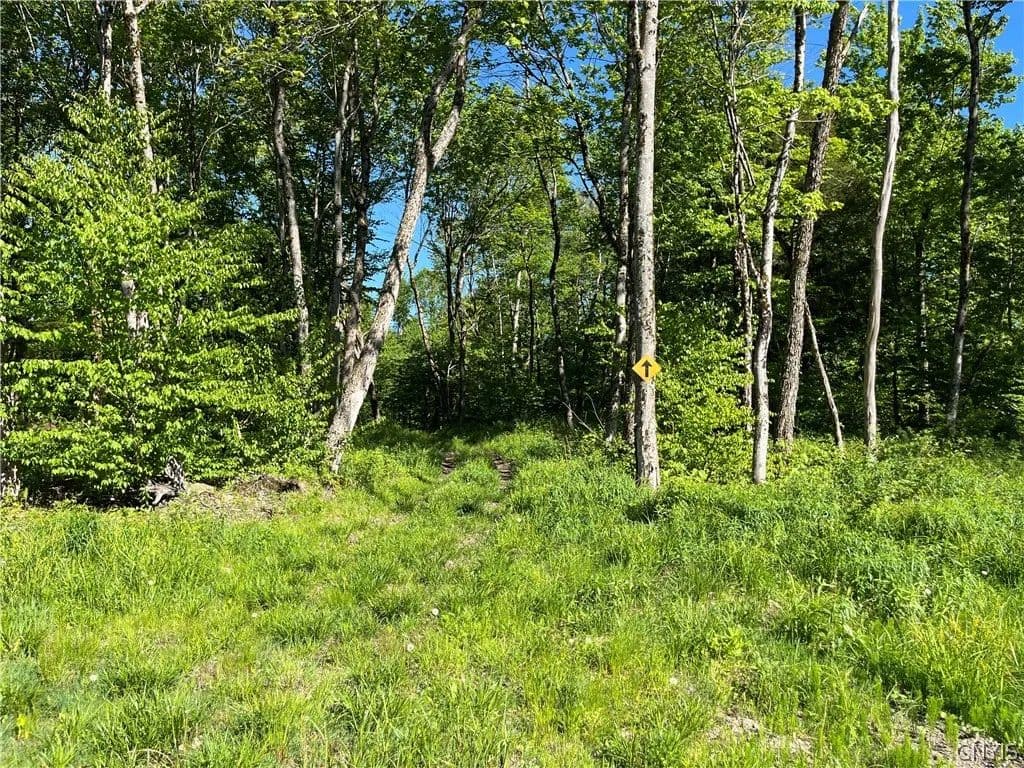 20 Acres of Land for Sale in Redfield, NY - Redfield, New York, 13437
