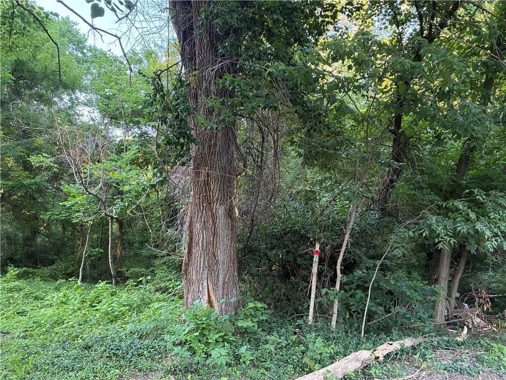 24726 Acres of Land for Sale in Independence, MO - Independence, Missouri, 64052
