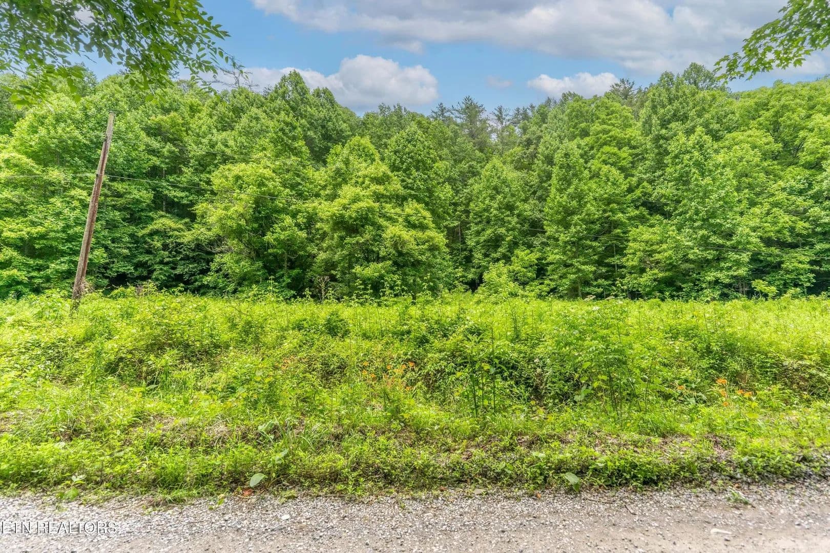 Property from 0 Johns Creek Rd - KW - Del Rio, Tennessee, 37727