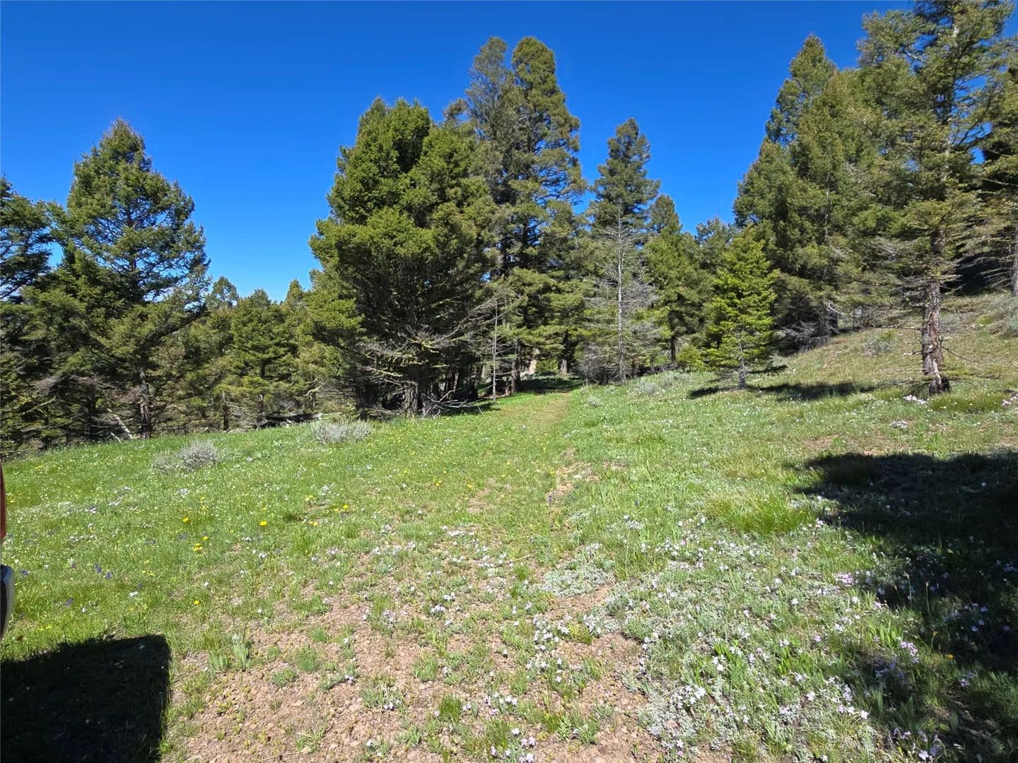 Property from Lot 26 Westridge Road - KW - Helmville, Montana, 59843