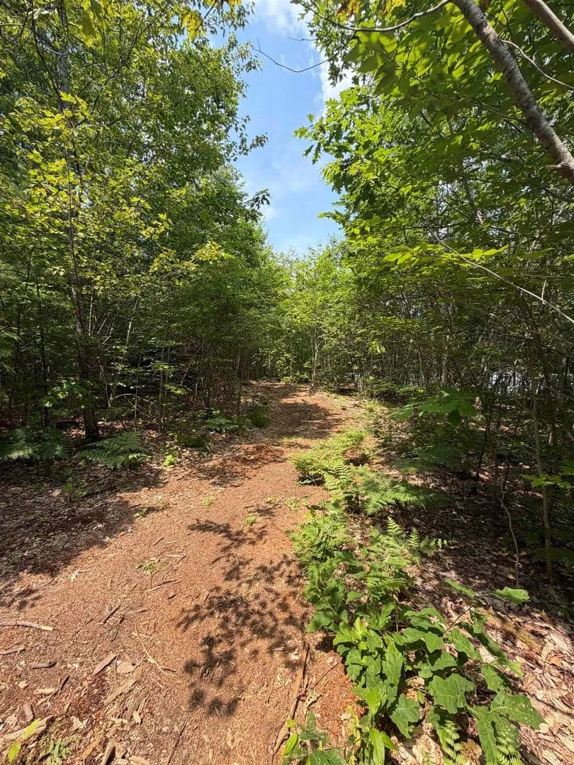 4.43 Acres of Land for Sale in Tamworth, NH - land for sale