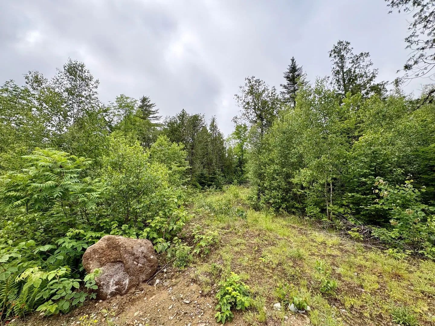 1.04 Acres of Land for Sale in Lee, ME - Lee, Maine, 04455