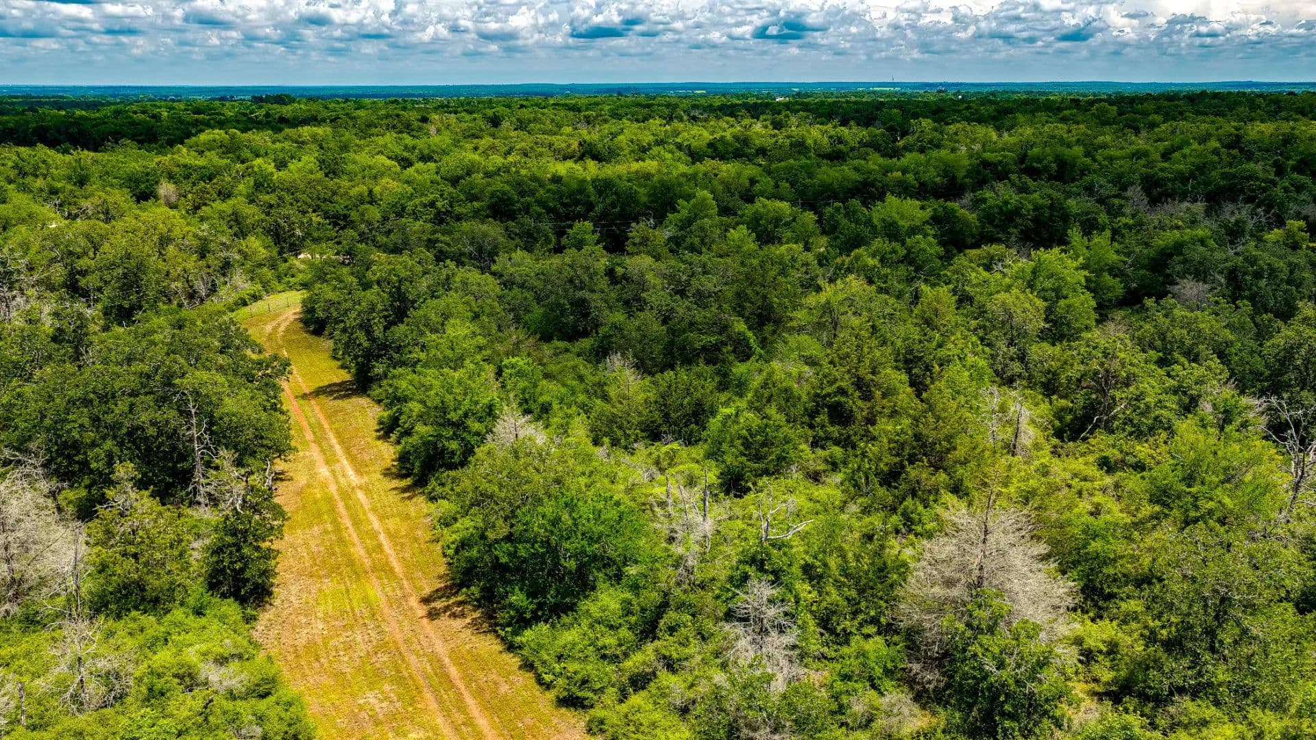 22.55 Acres in Milam County - Gause, Texas, 77857
