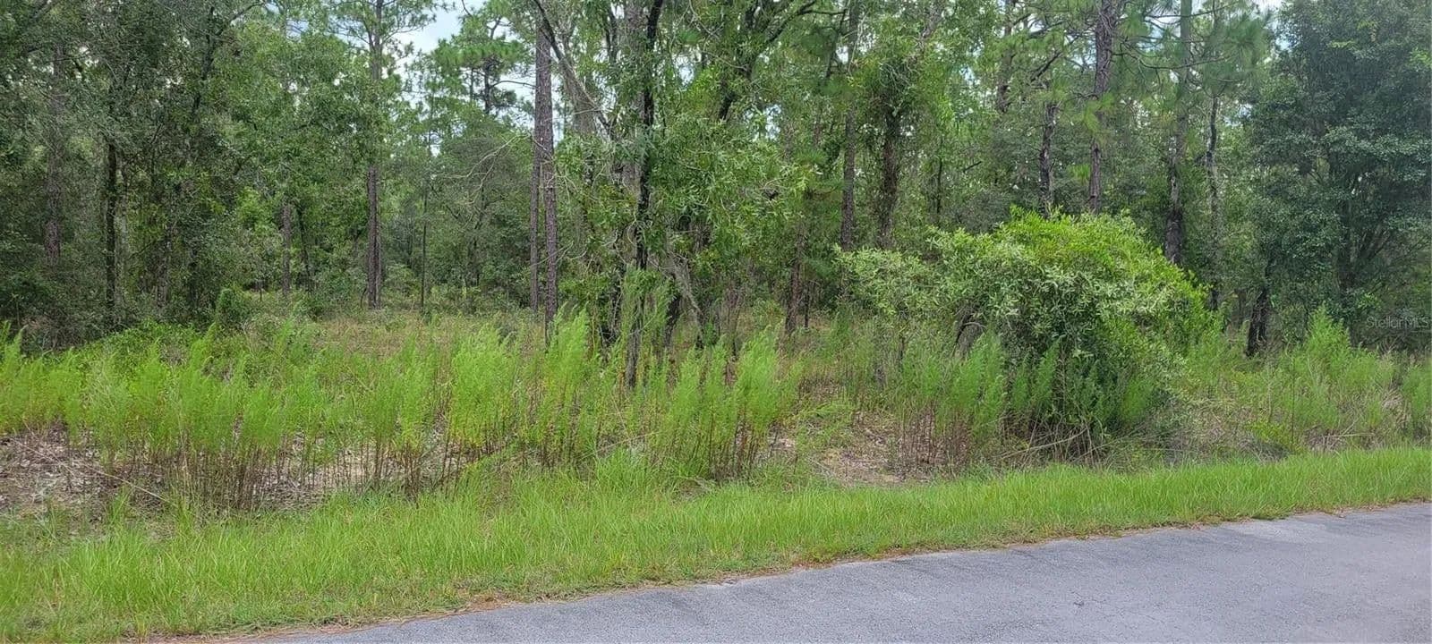 Lots & Land-Other in DUNNELLON - Dunnellon, Florida, 34431