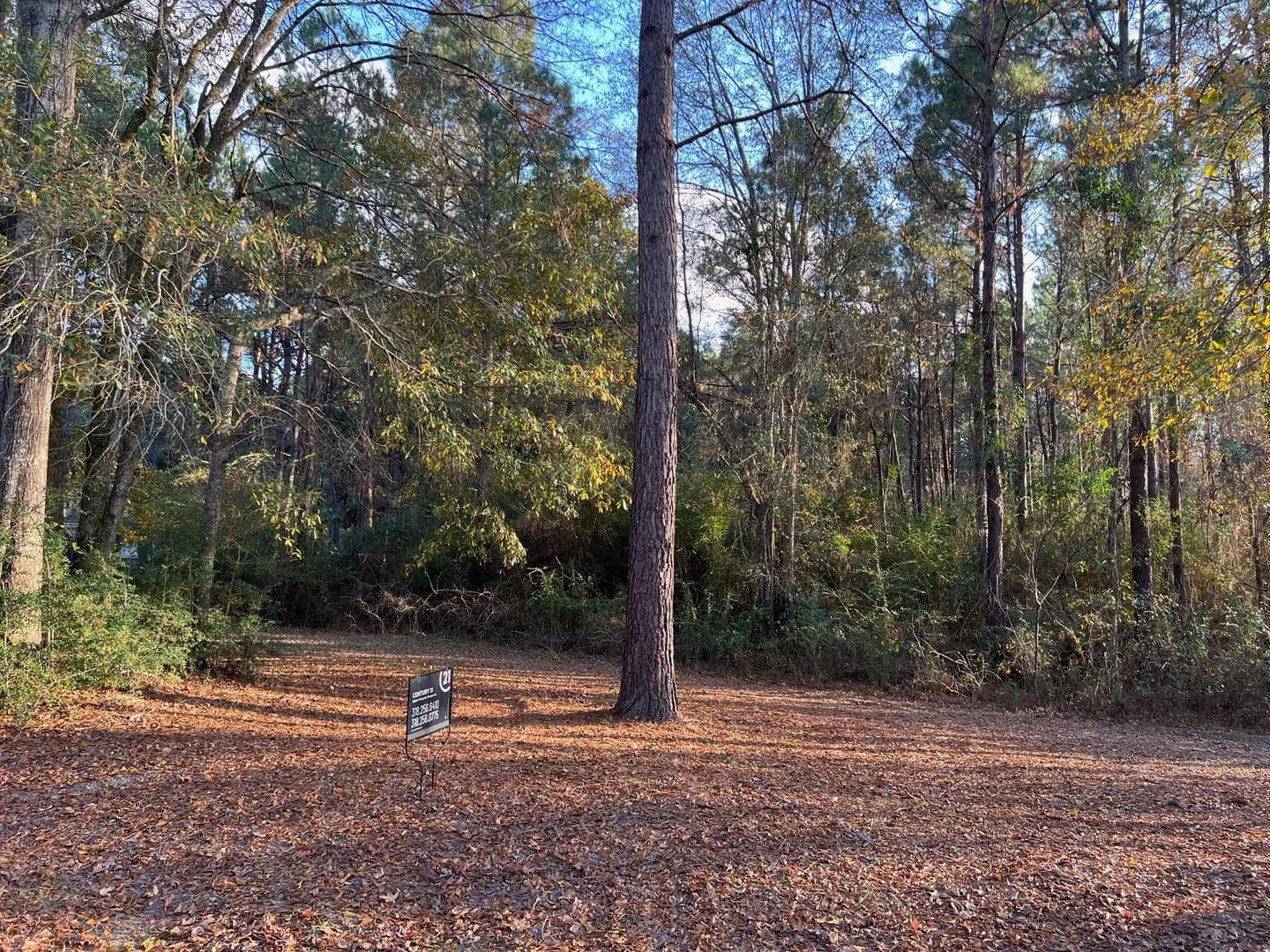 Land -Single Family Acreage in Converse - Converse, Louisiana, 71419