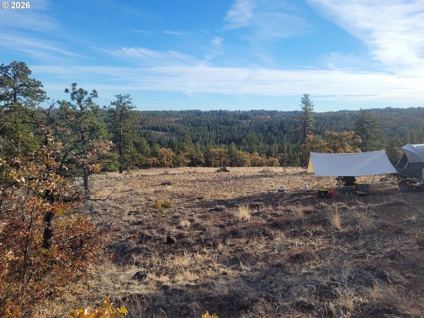 Lots & Land-Other in Bickleton - Bickleton, Washington, 99322