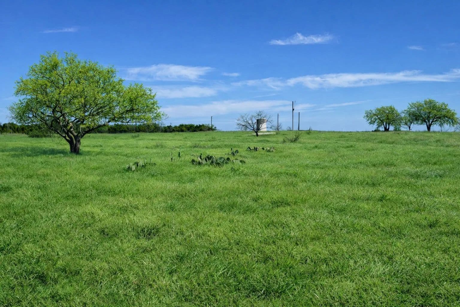 HOMESTEAD HILLS - , Texas, 76550