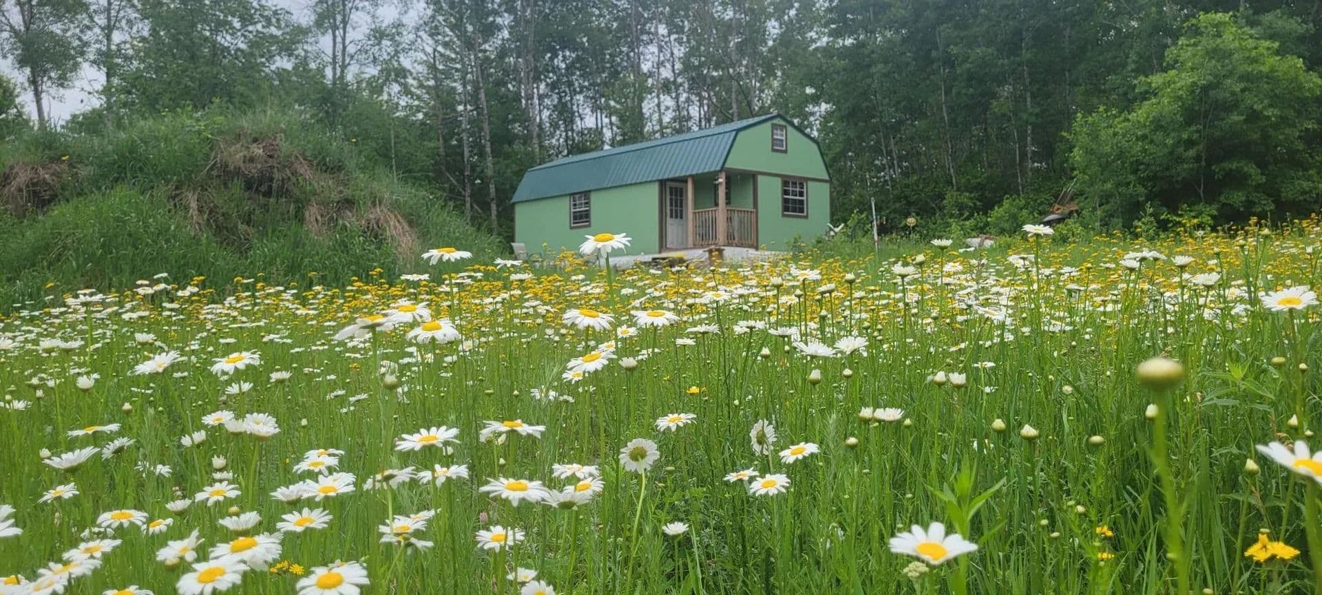 3.62 Acres of Land for Sale in Trego, Wisconsin - Trego, Wisconsin, 54888