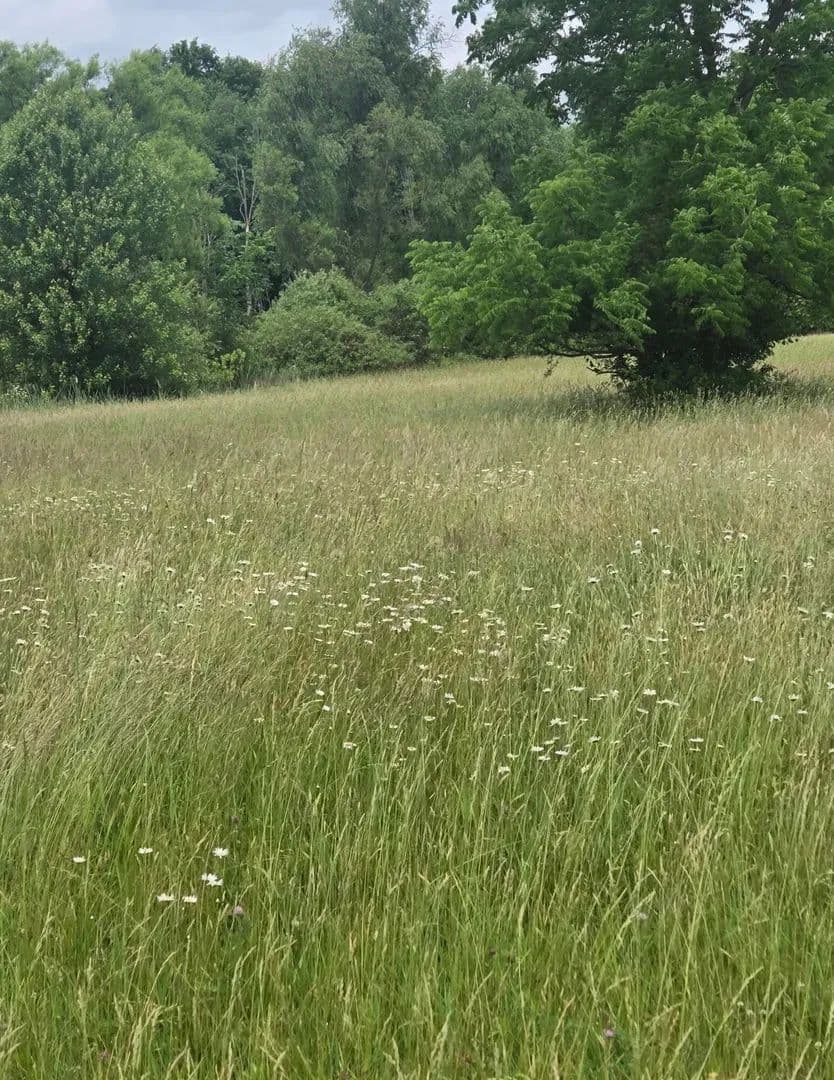 0.53 Acres of Land for Sale in Mount Gilead, Ohio - Mount Gilead, Ohio, 43338