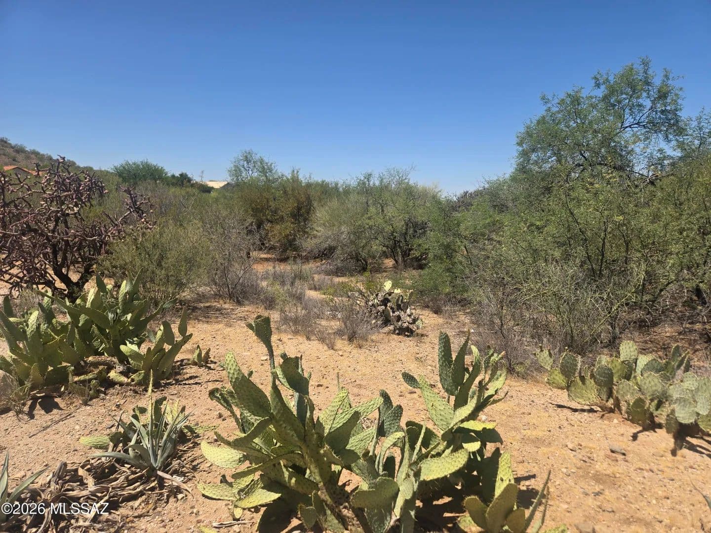 Property from 0 S Wind Crest Drive - KW - Tucson, Arizona, 85739