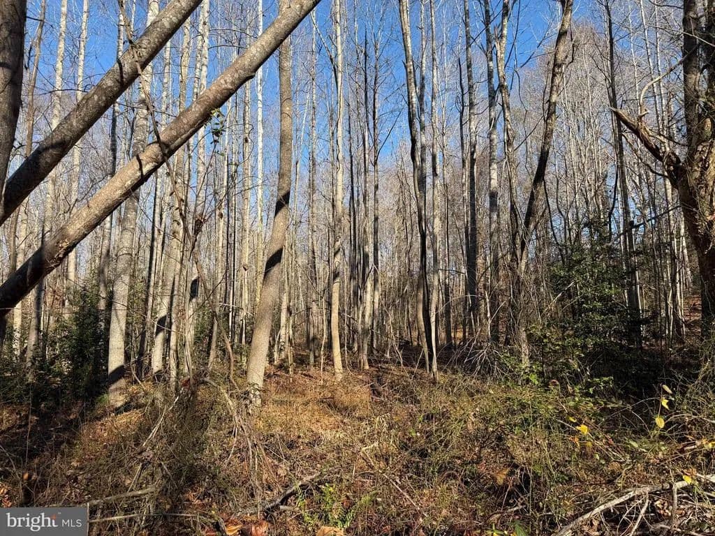 Property from Lot 2 B TURKEY ACRES ROAD - KW - King George, Virginia, 22485