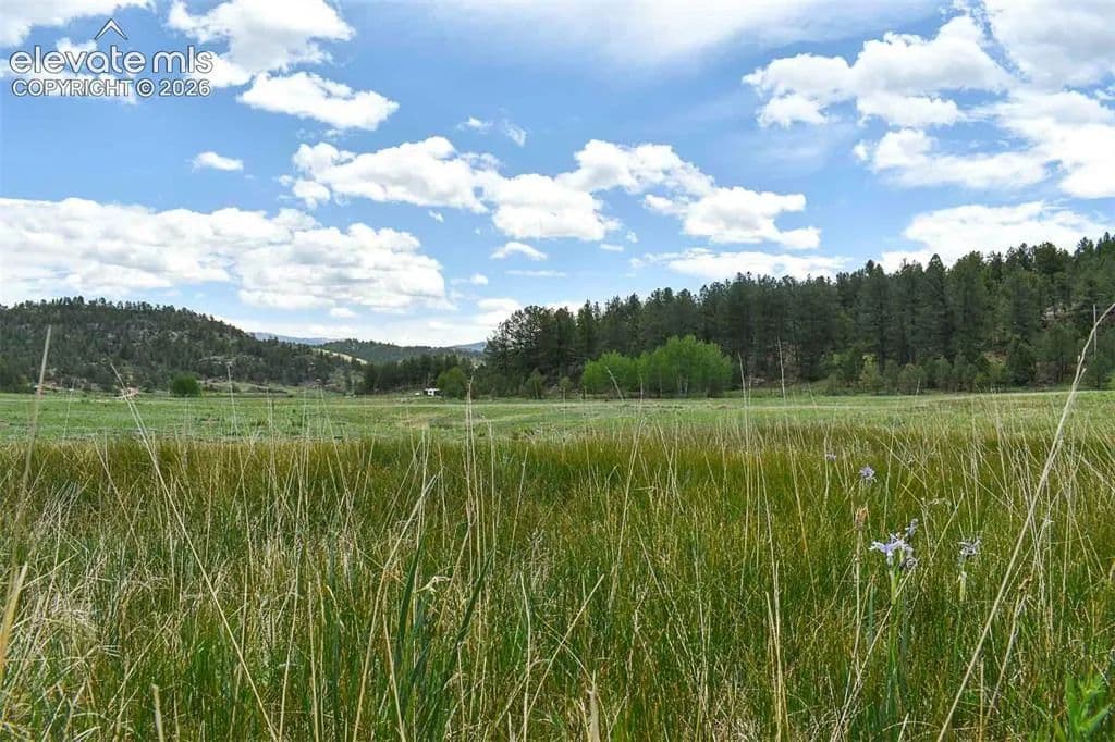 5 Acres of Land for Sale in Guffey, Colorado - Guffey, Colorado, 80820