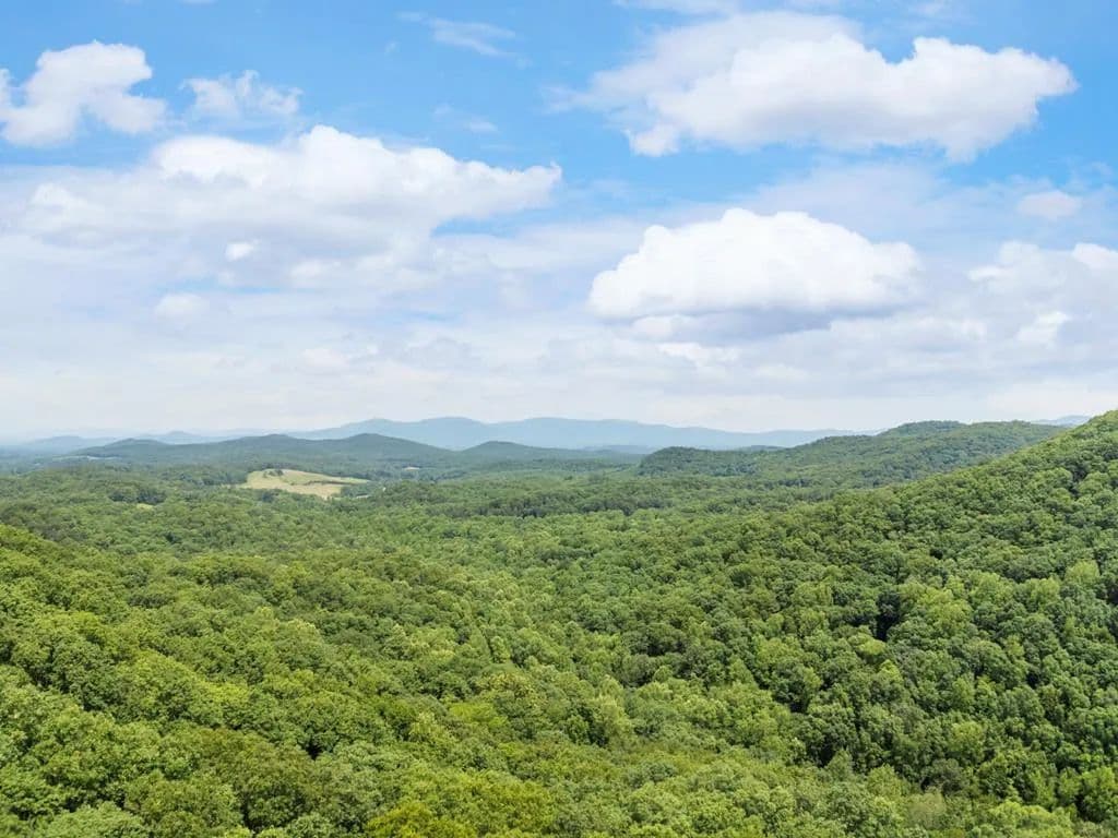 57.64 Acres of Land for Sale in Ellijay, Georgia - Ellijay, Georgia, 30536
