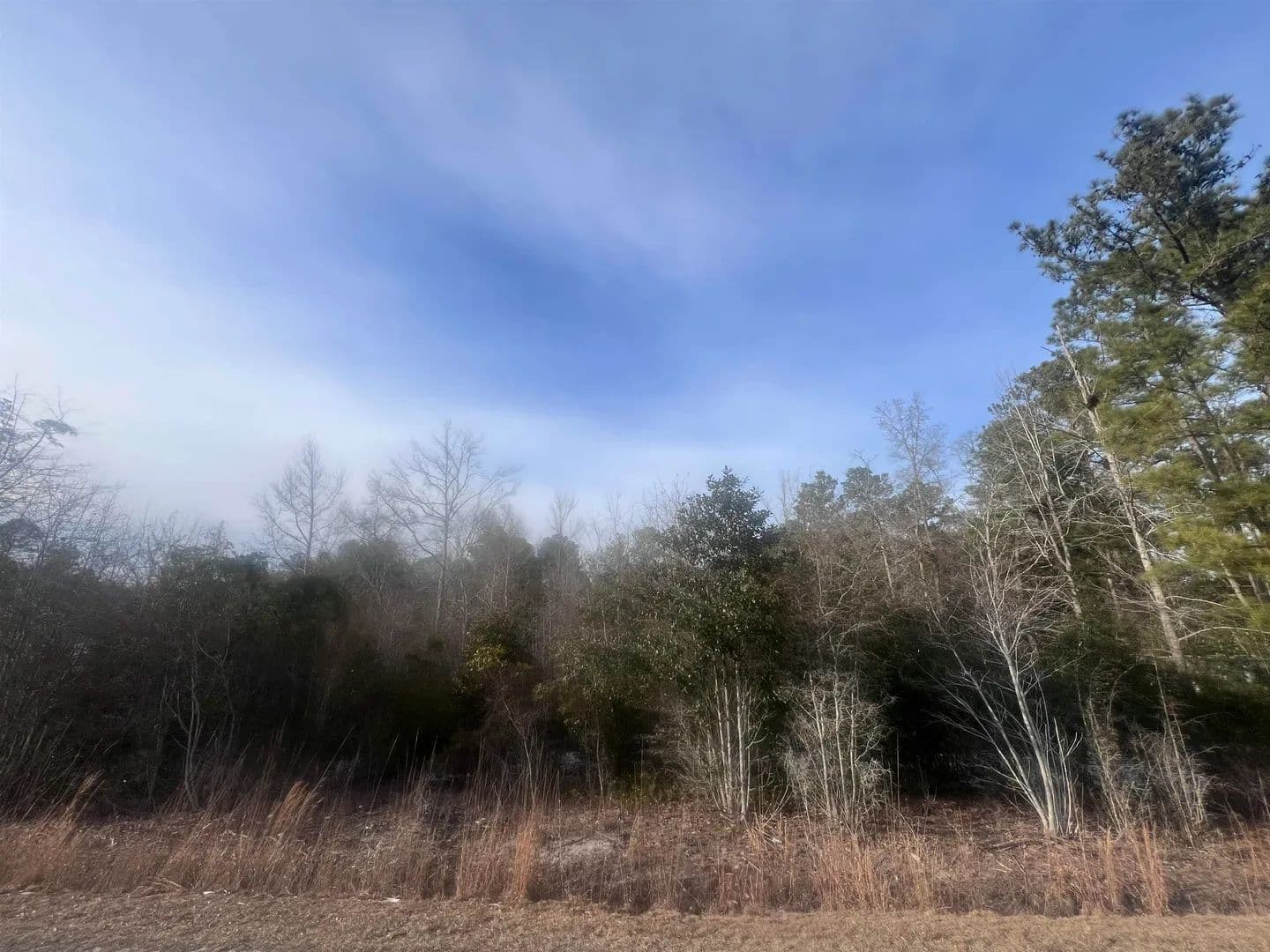 Vacant Land in Marion - Marion, South Carolina, 29571