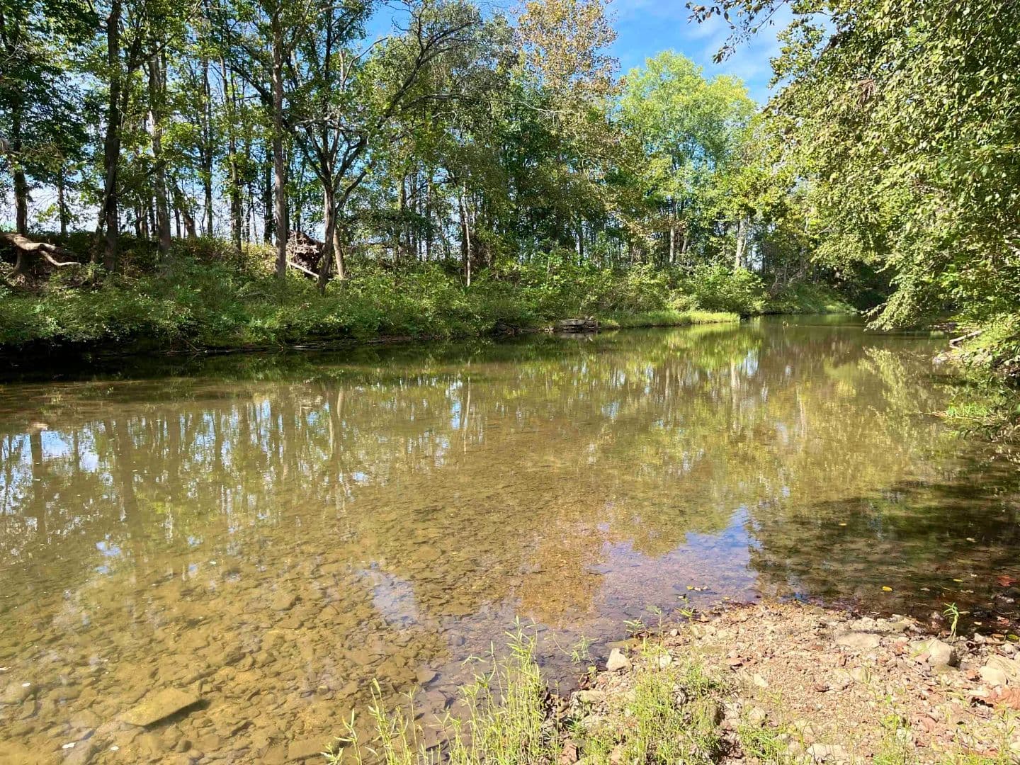 Bundle Event - Bowen Cemetery Road, Bland, Gasconade County, MO 65014 Land for Sale at Auction – Anderson Property - Bland, Missouri, 65014