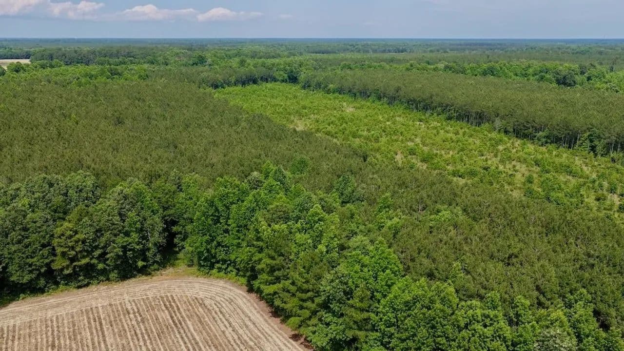 3.81 acres of Hunting and Recreational Land in Bertie County, NC! - Windsor, North Carolina, 27983