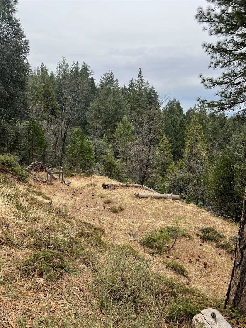 Lots & Land-Other in Twain Harte