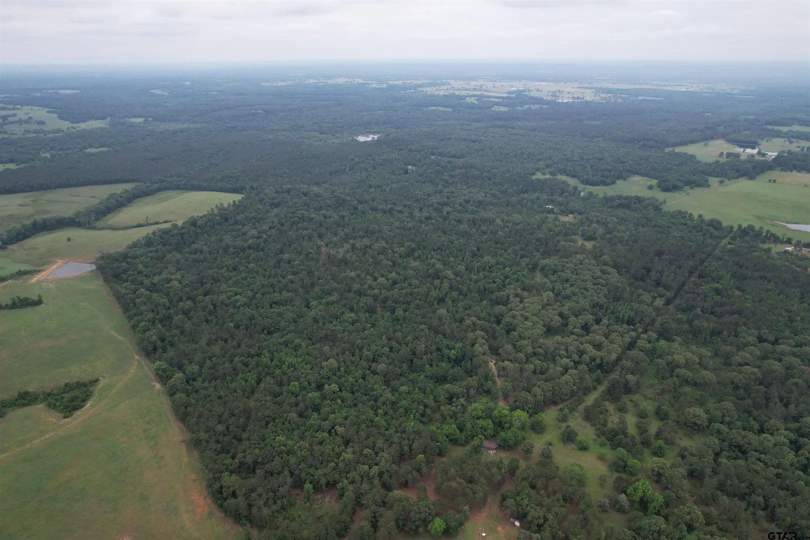 Property from TBD County Road 461 #TBD County Road 461 - KW - Laneville, Texas, 75667