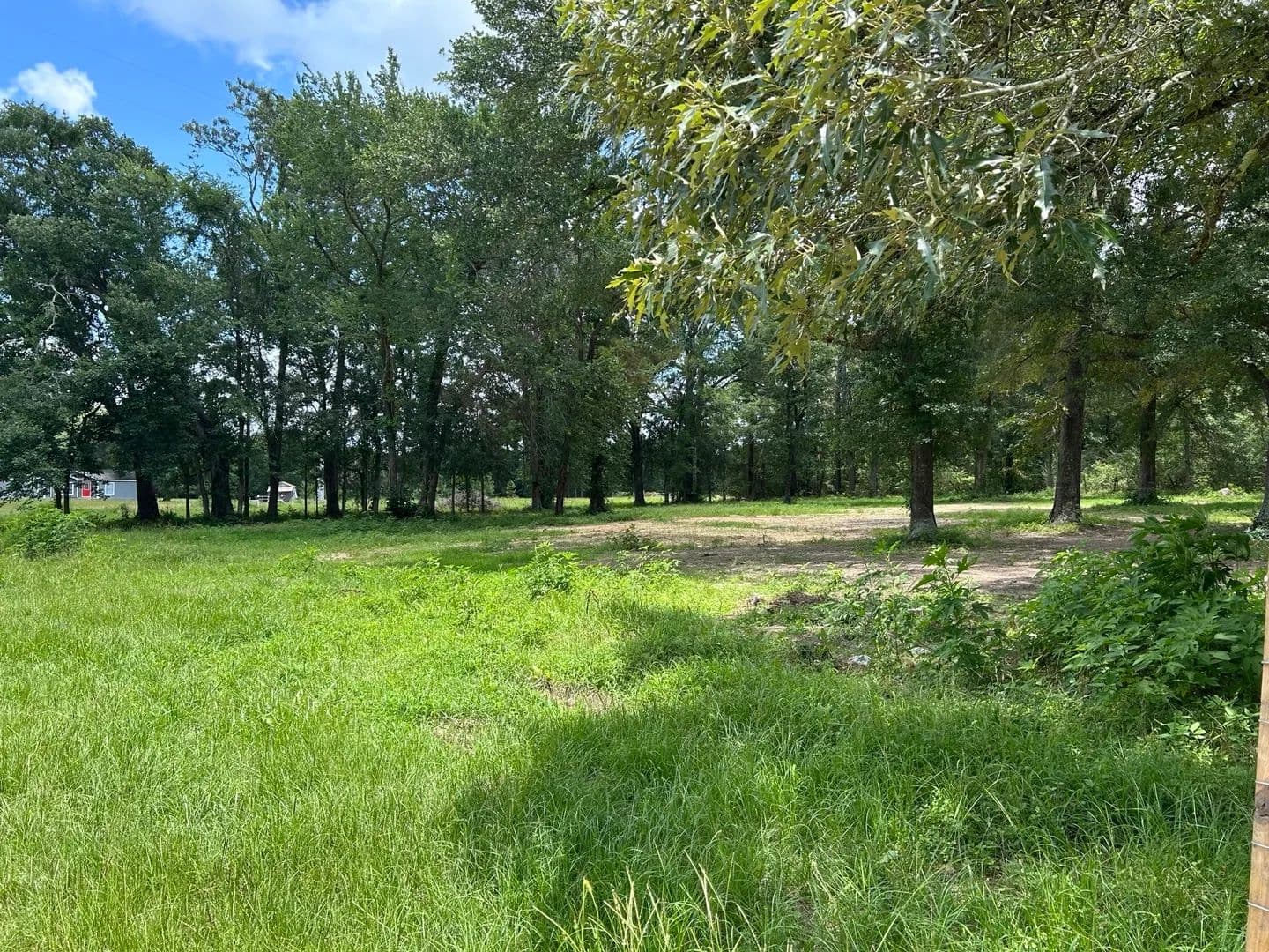 Property from TBD N Mount Mariah Road - KW - Montgomery, Texas, 77356