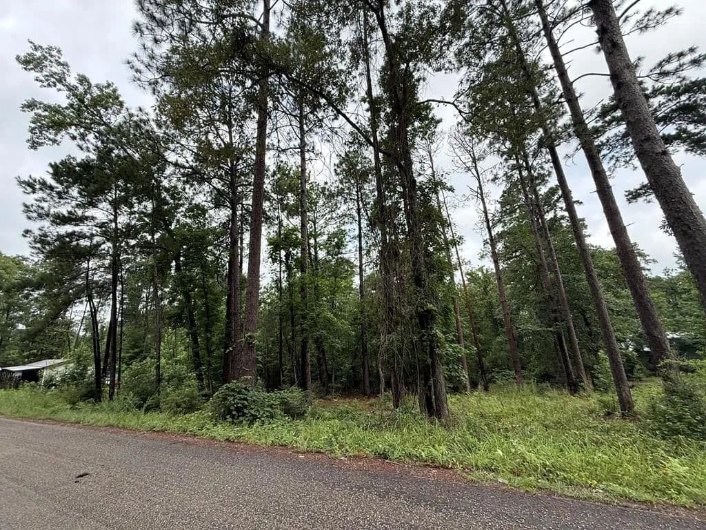 Property from R030870 Cardinal Way Circle - KW - Brookeland, Texas, 75931