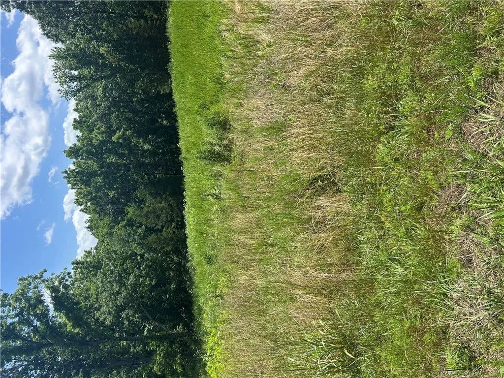 1.01 Acres of Land for Sale in Bella Vista, Arkansas - Bella Vista, Arkansas, 72715
