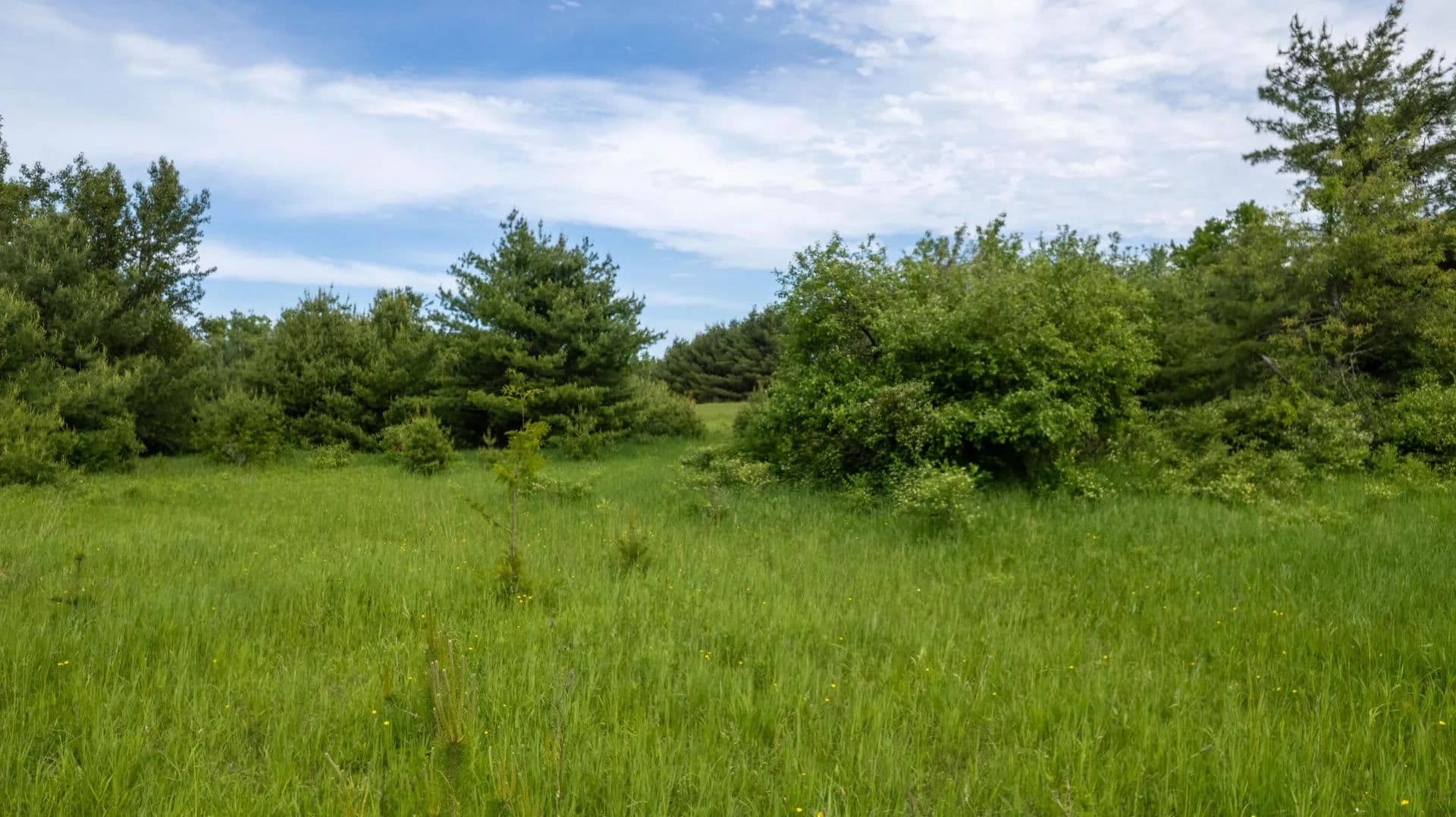 Vacant Land in Ocqueoc - land for sale