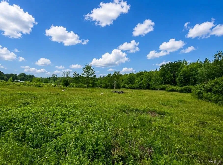 Property from 0 REICHERT Road - KW - Erie, Pennsylvania, 16509