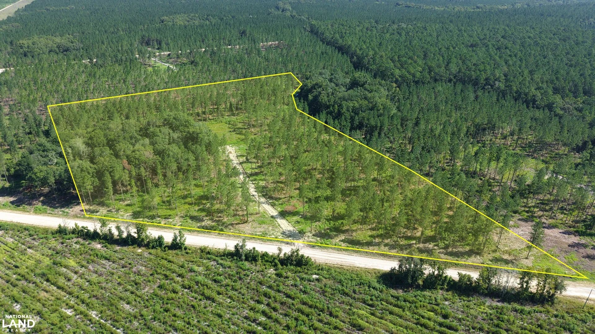 Buck Swamp Lot 6 - land for sale