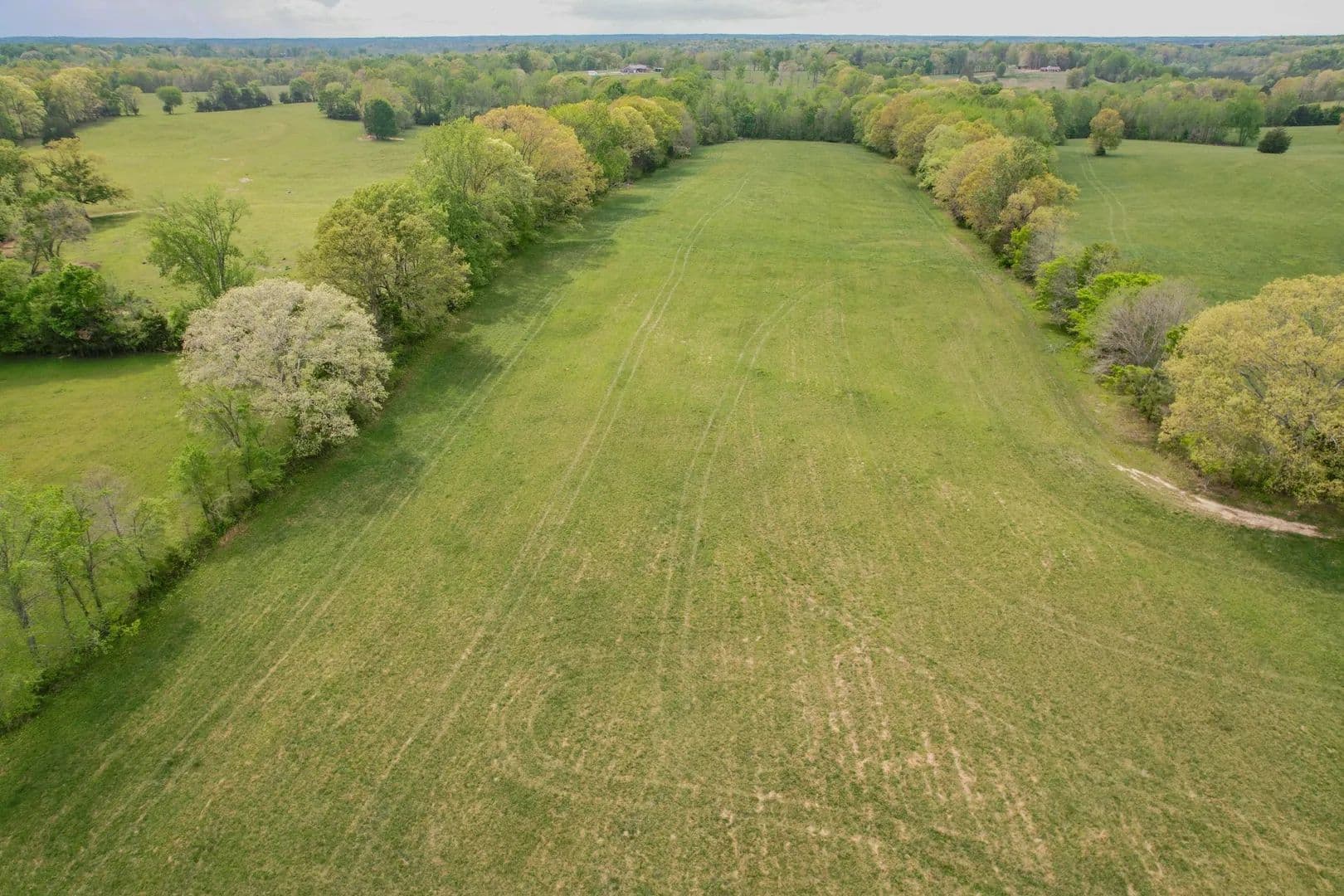12.6 Acres of Land for Sale in Minor Hill, Tennessee - Minor Hill, Tennessee, 38473