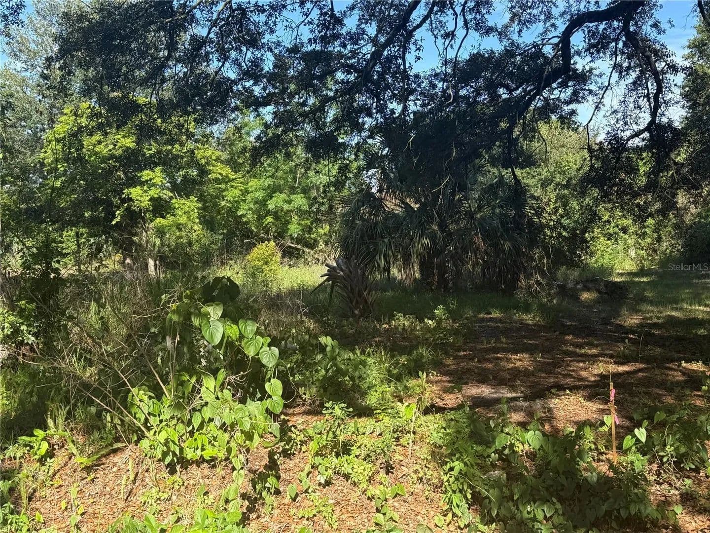 0.16 Acres of Land for Sale in Winter Haven, Florida - Winter Haven, Florida, 33881