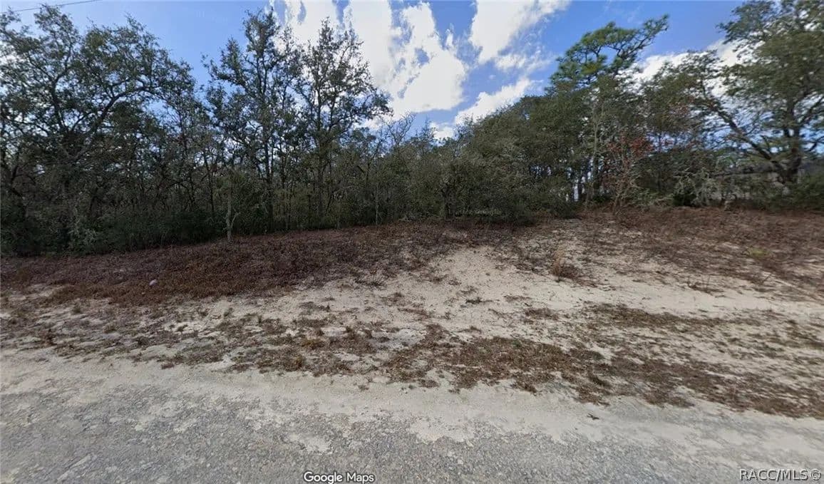 1.15 Acres of Land for Sale in Webster, Florida - land for sale