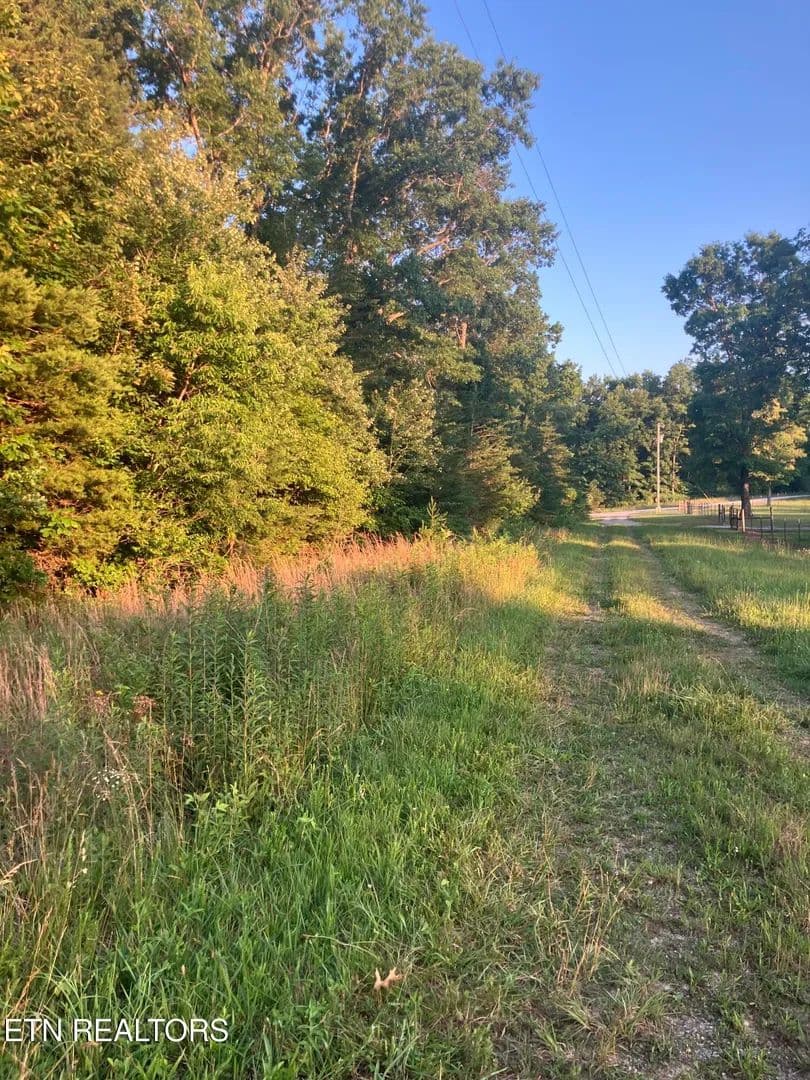 7.9 Acres of Land for Sale in Pikeville, Tennessee - Pikeville, Tennessee, 37367