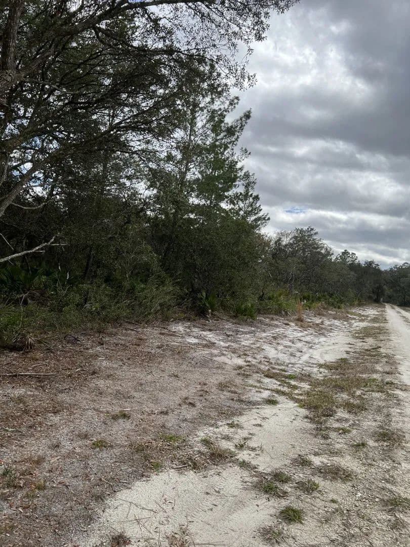 Lots & Land-Other in FORT MC COY - Fort Mc Coy, Florida, 32134
