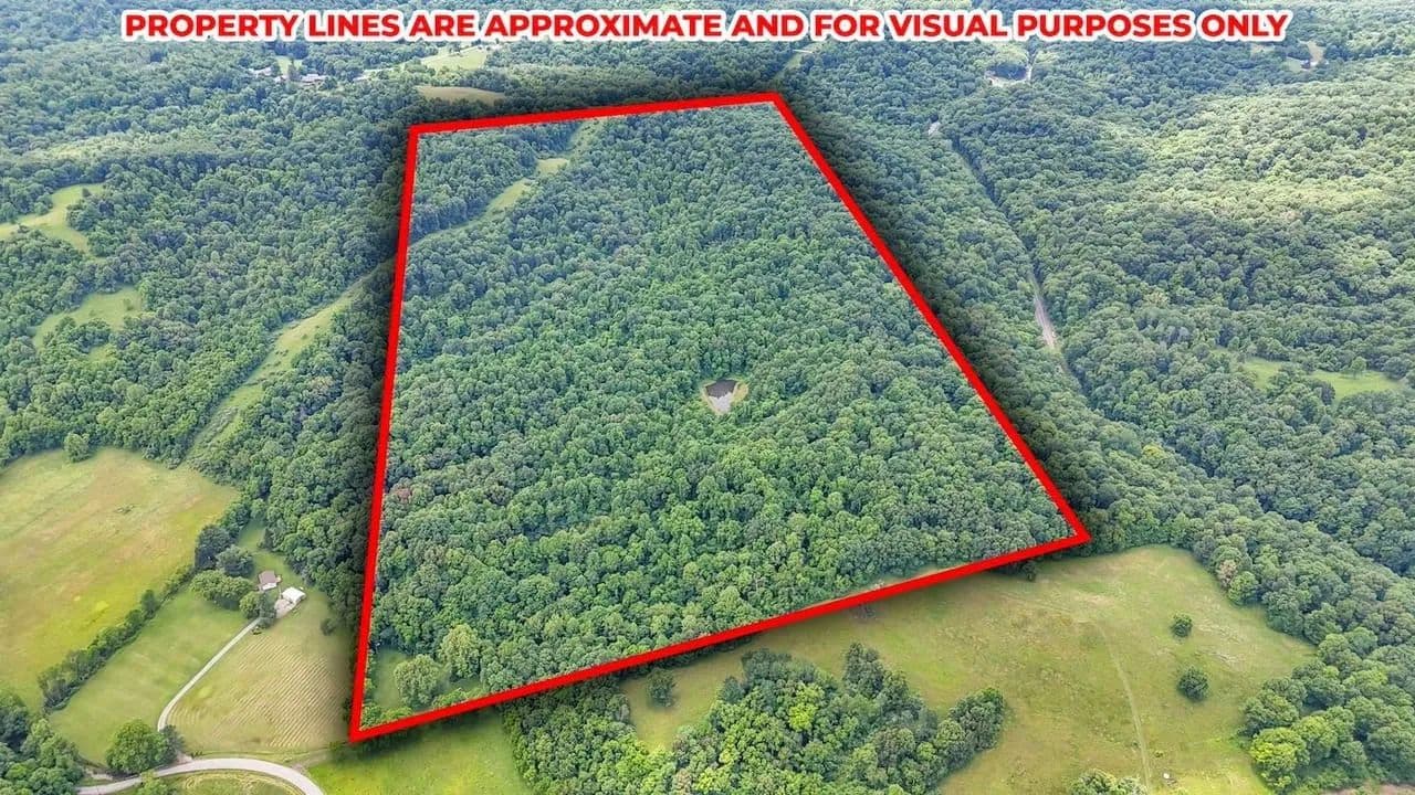Mush Run Rd - 81 acres - Athens, Ohio, 45701