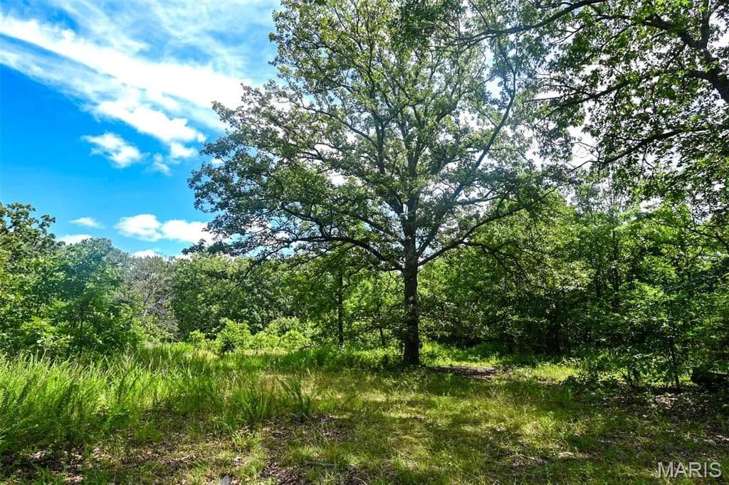 144 Acres of Land for Sale in Osceola, MO - Osceola, Missouri, 64776