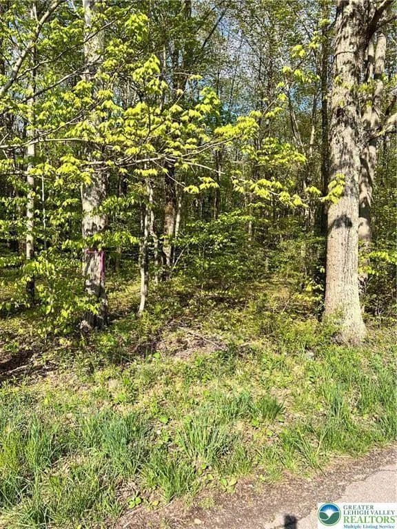 0.45 Acres of Land for Sale in Monroe County, Pennsylvania - Pennsylvania, 18610