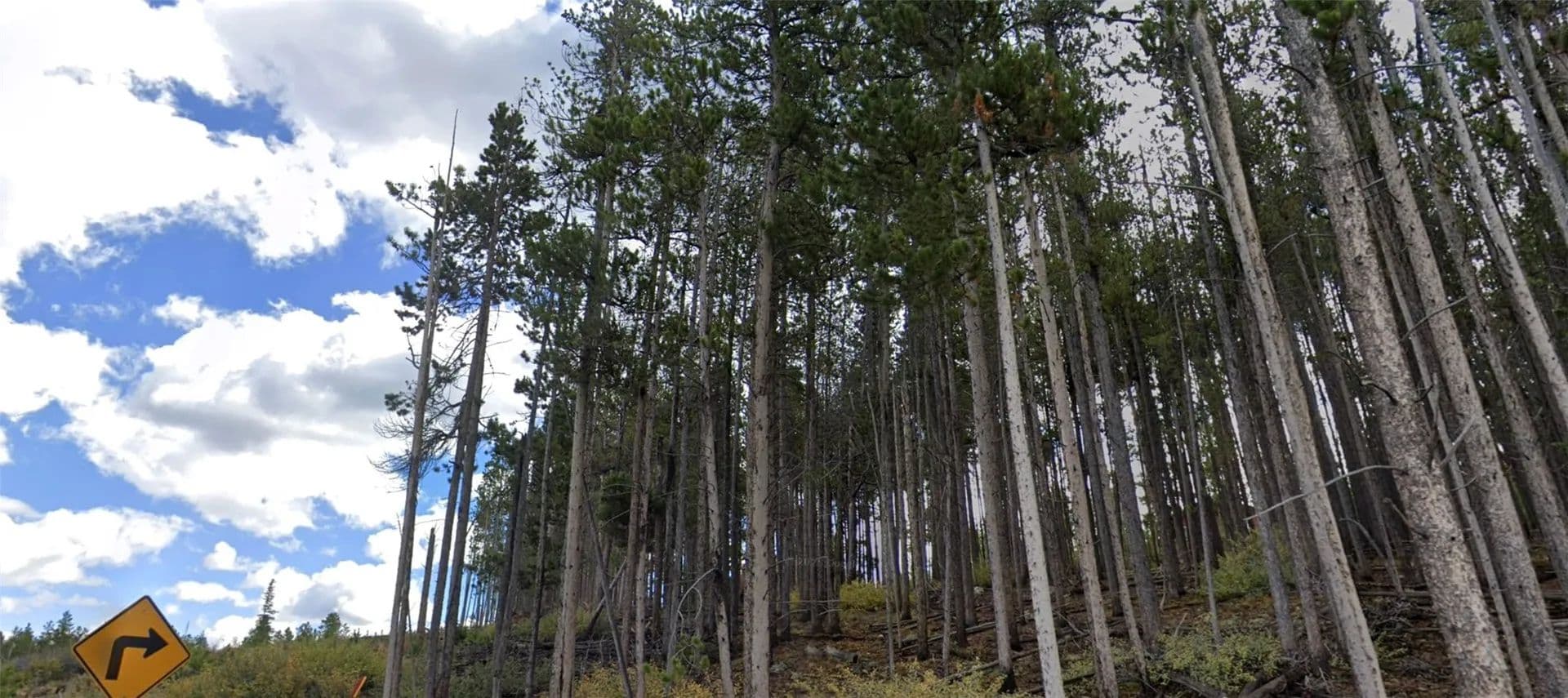 0.51 Acres of Land for Sale in Breckenridge, Colorado - Breckenridge, Colorado, 80424