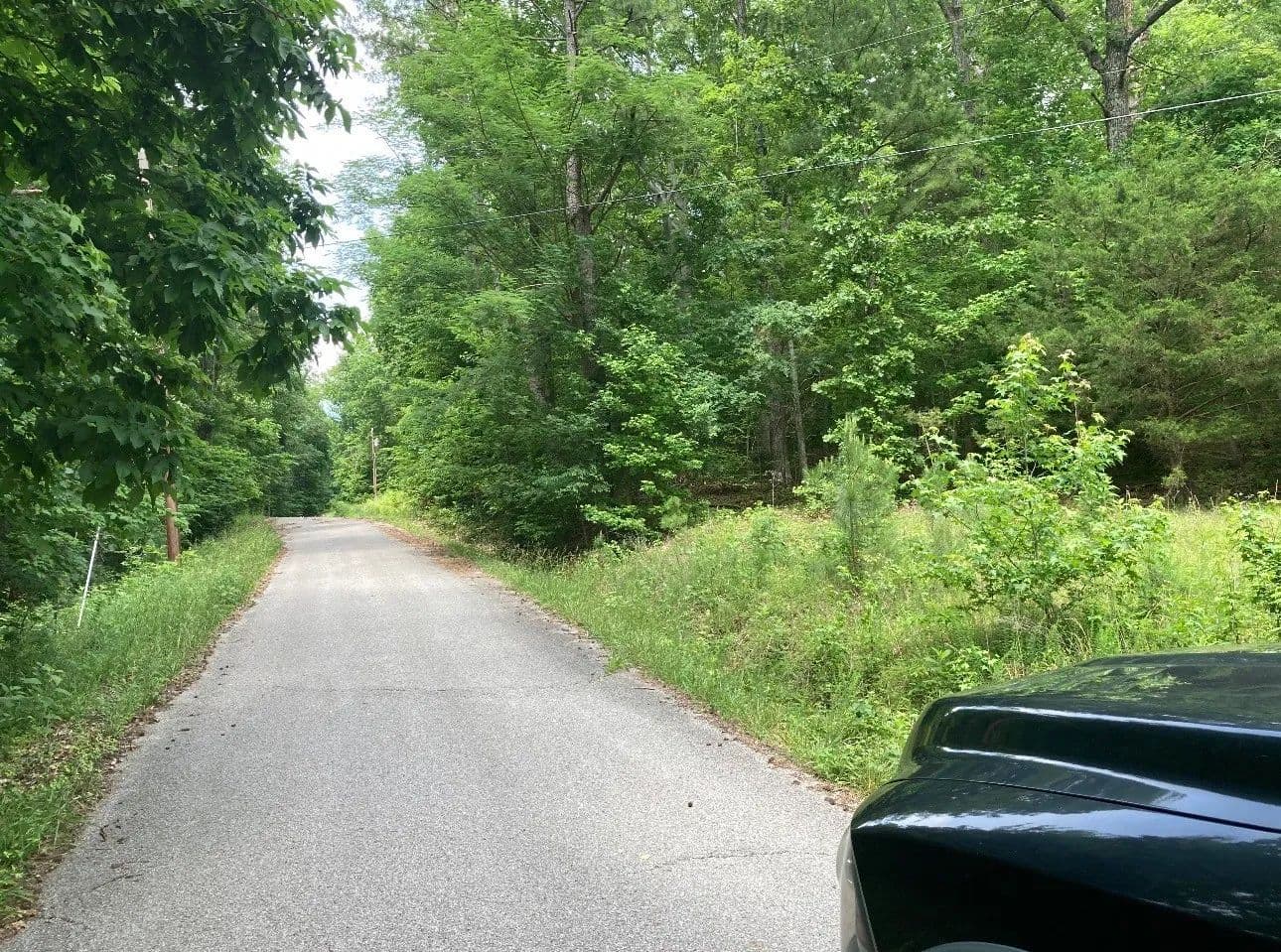 Property from 0 Briarwood Drive - KW - Erin, Tennessee, 37061