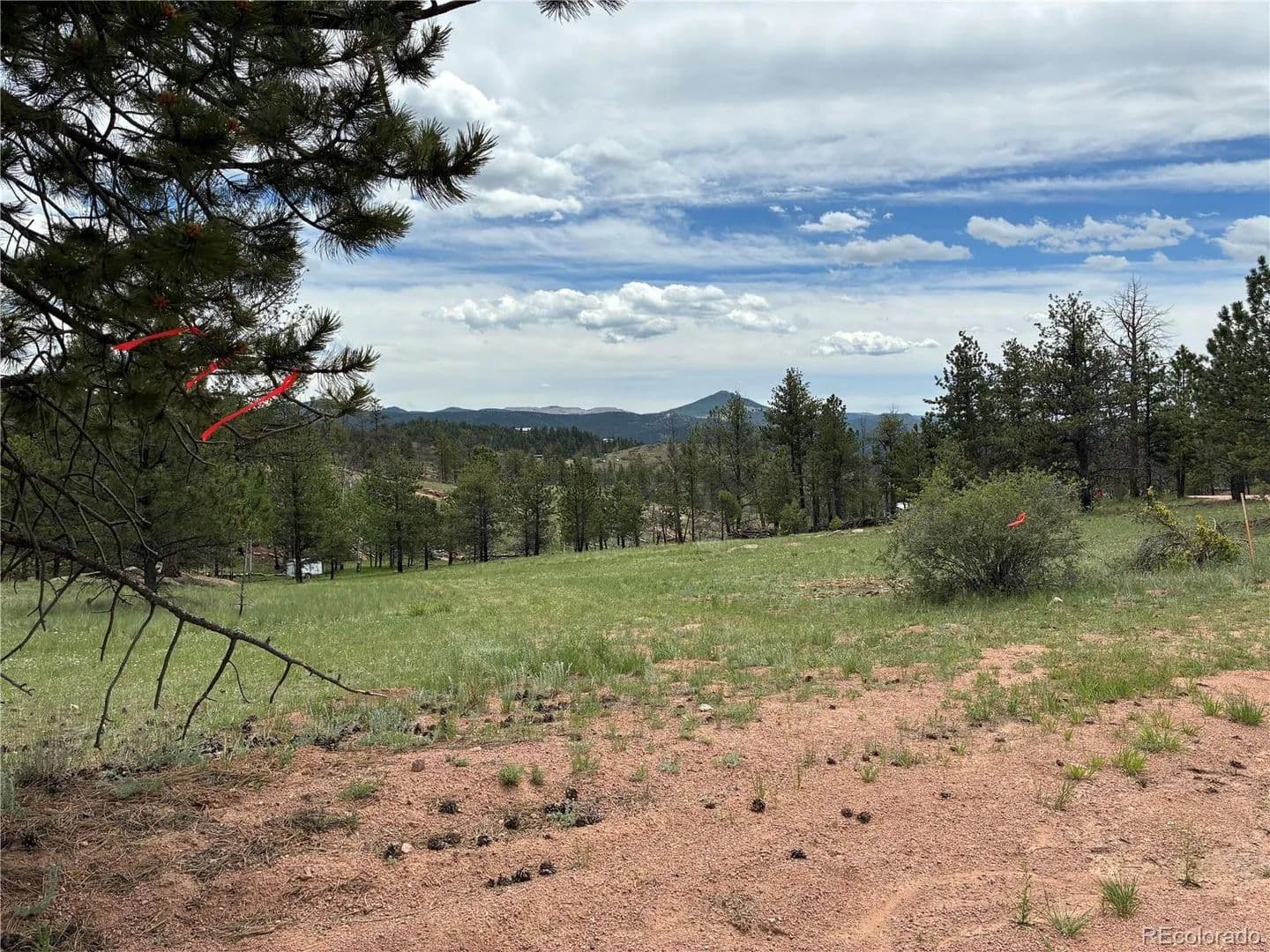 Property from 266 Chapparal Trail - KW - Florissant, Colorado, 80816