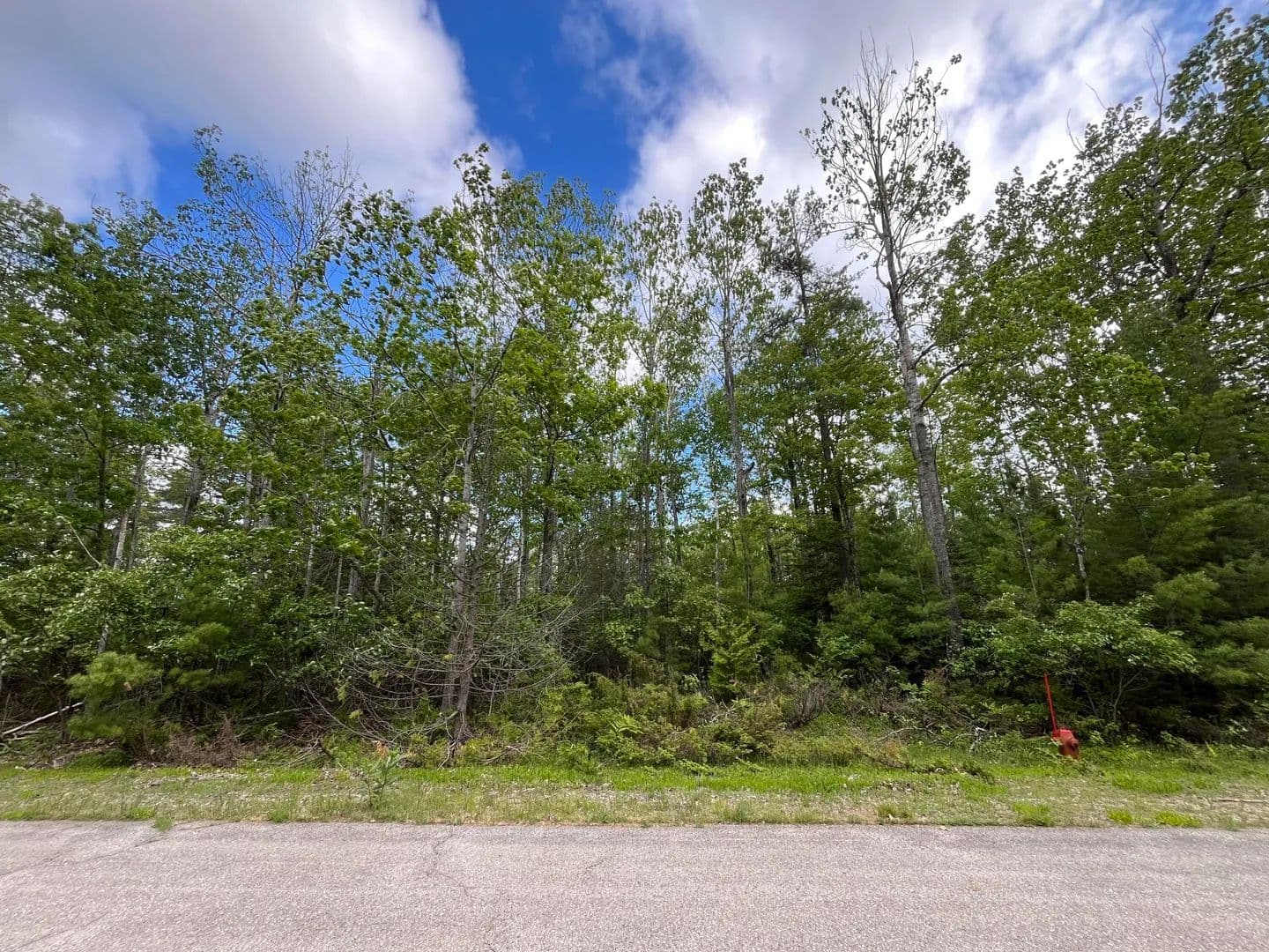 Property from Lot 123 Sunaqua Drive - KW - Presque Isle, Michigan, 49777