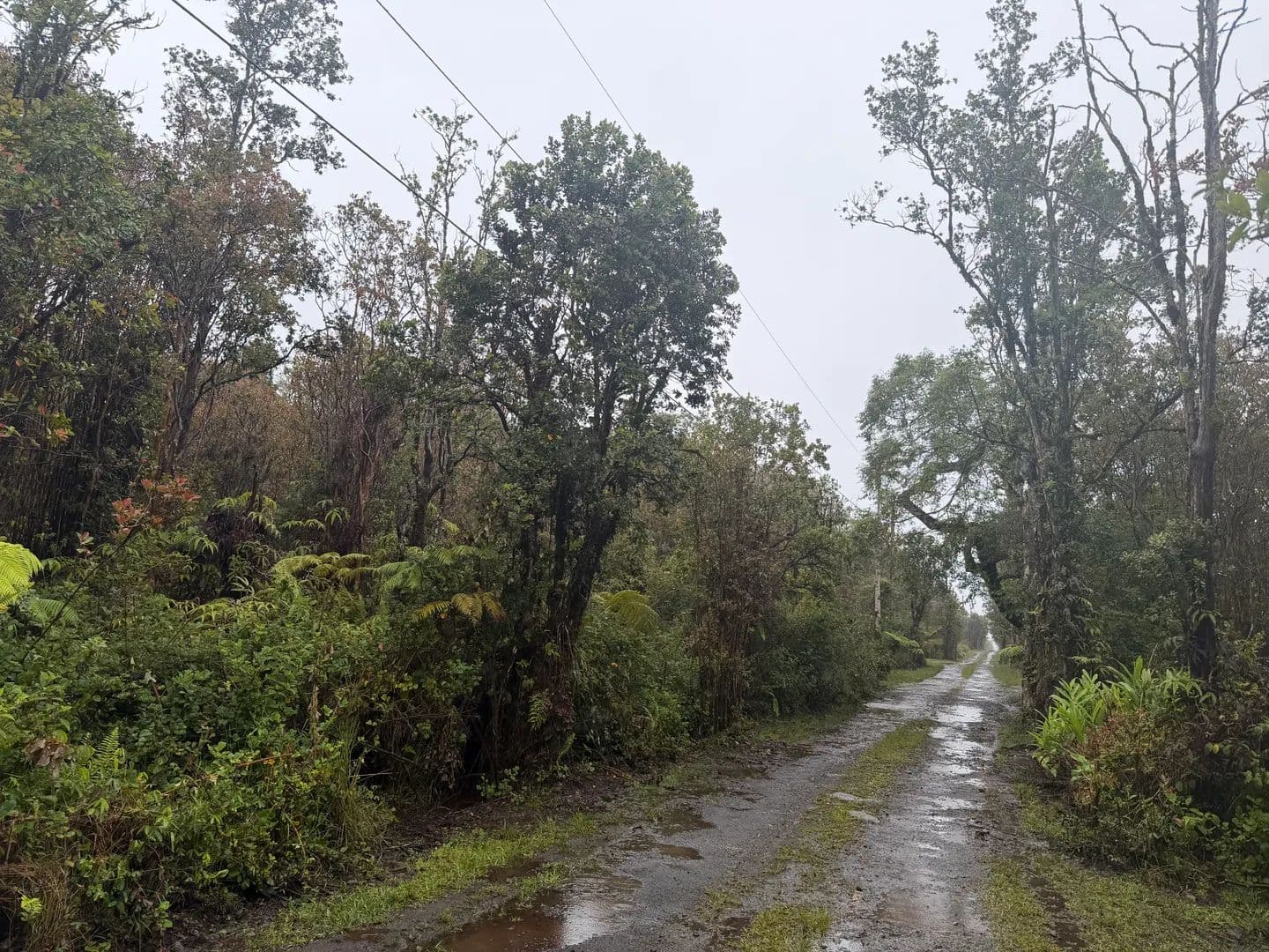 0.28 Acres of Land for Sale in Mountain View, Hawaii - Mountain View, Hawaii, 96771