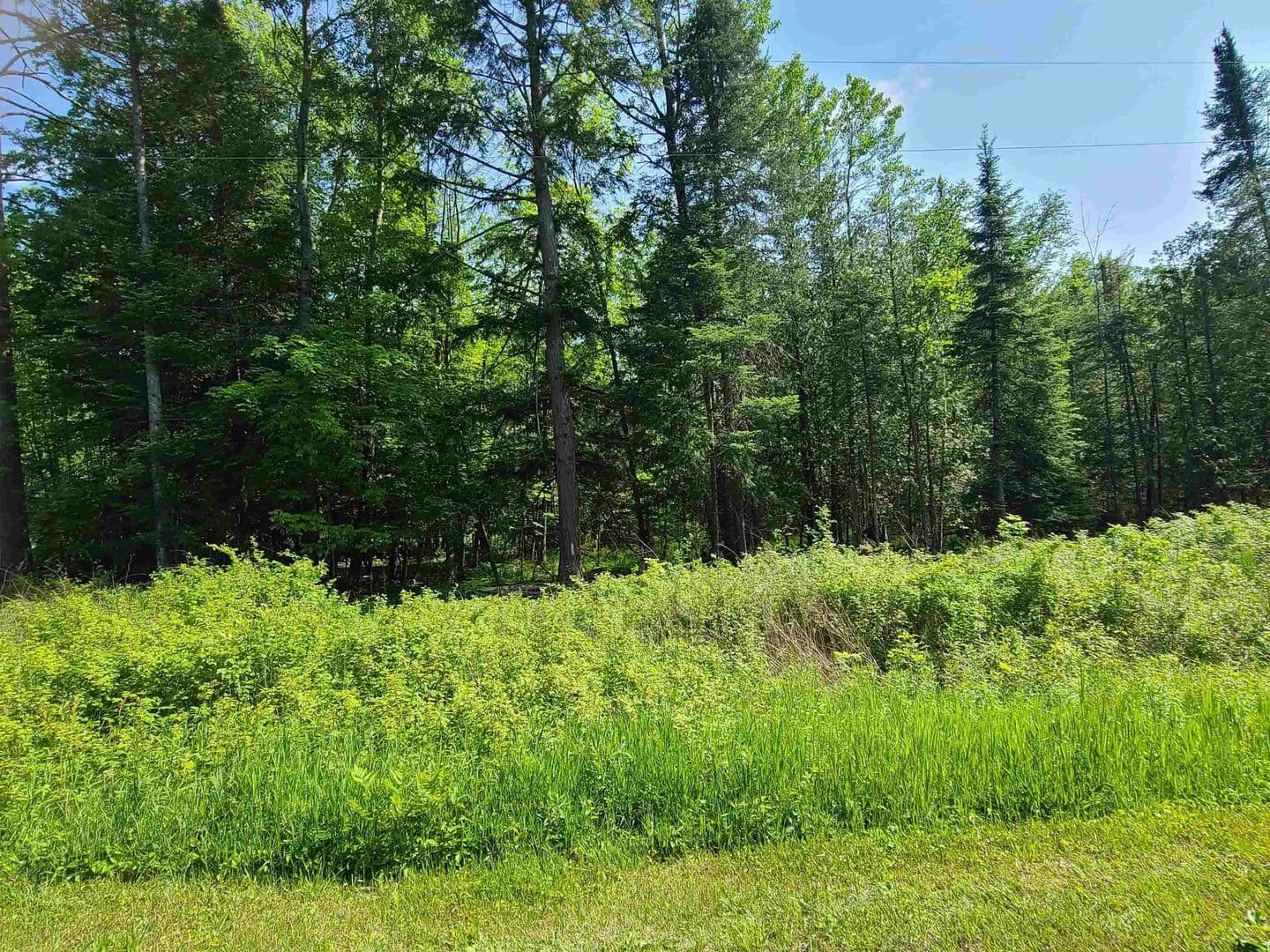 Property from 1281 W Trask Lake Road - KW - , Michigan, 48705