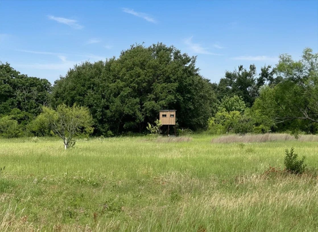 Property from 38 White Wing Circle - KW - Blanket, Texas, 76432